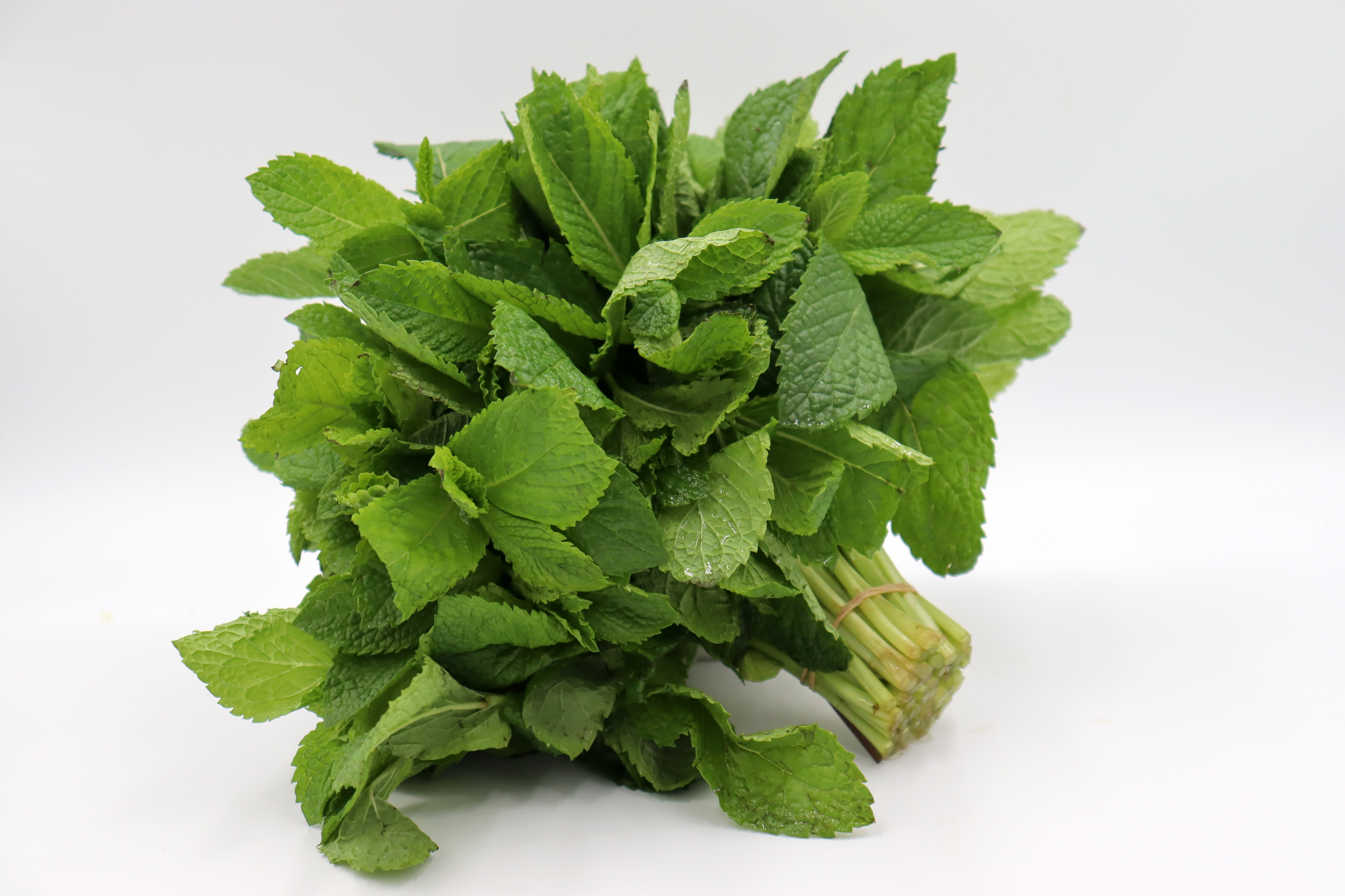 薄荷葉