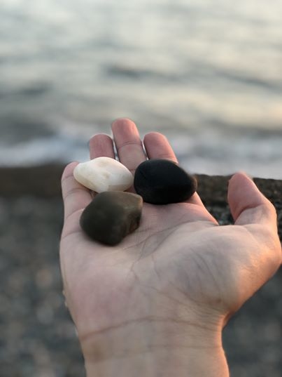 長壽村2023年度講座- 高加索尋奇：發現克菲爾菌- The World is Your Oyster