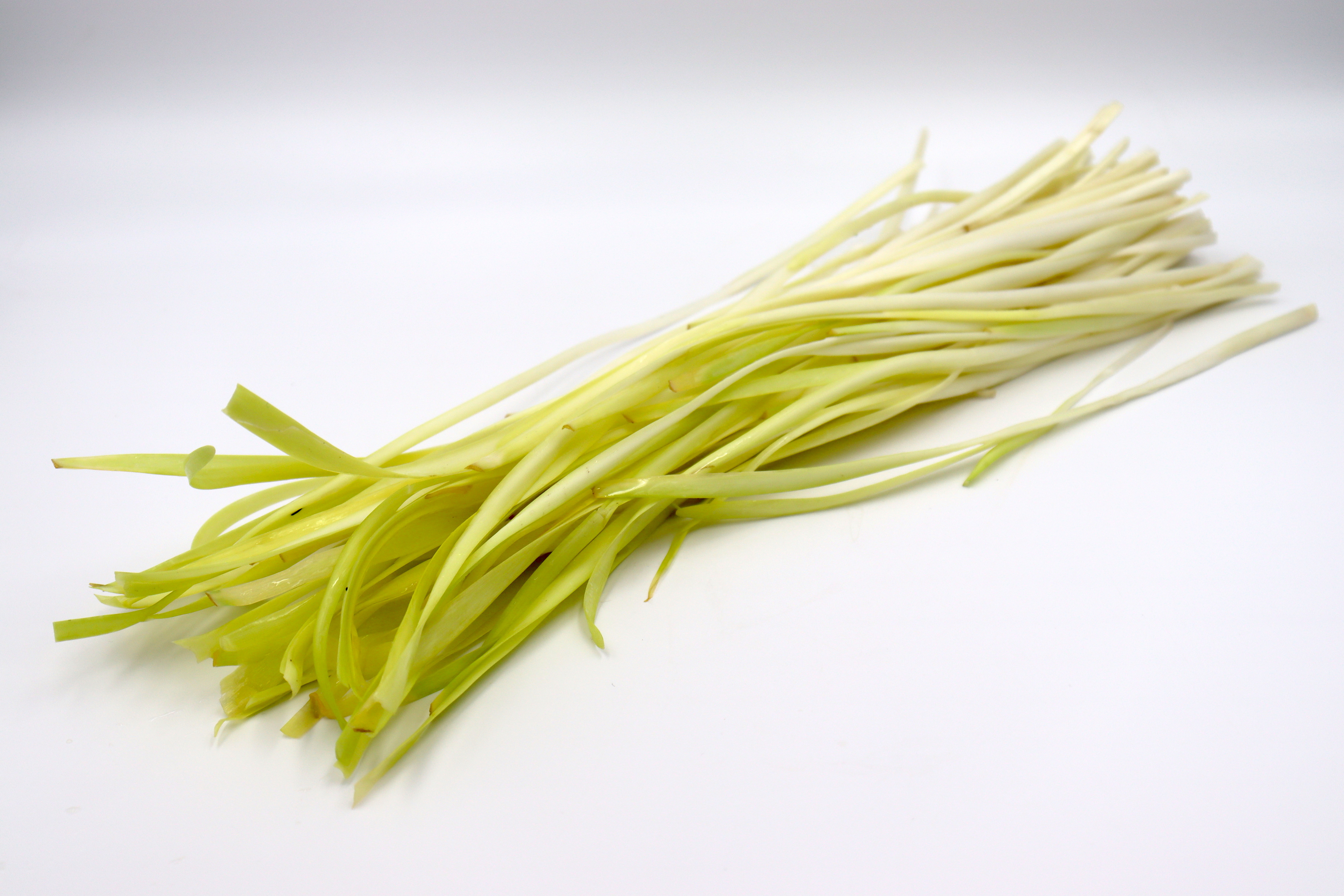 韭黃
