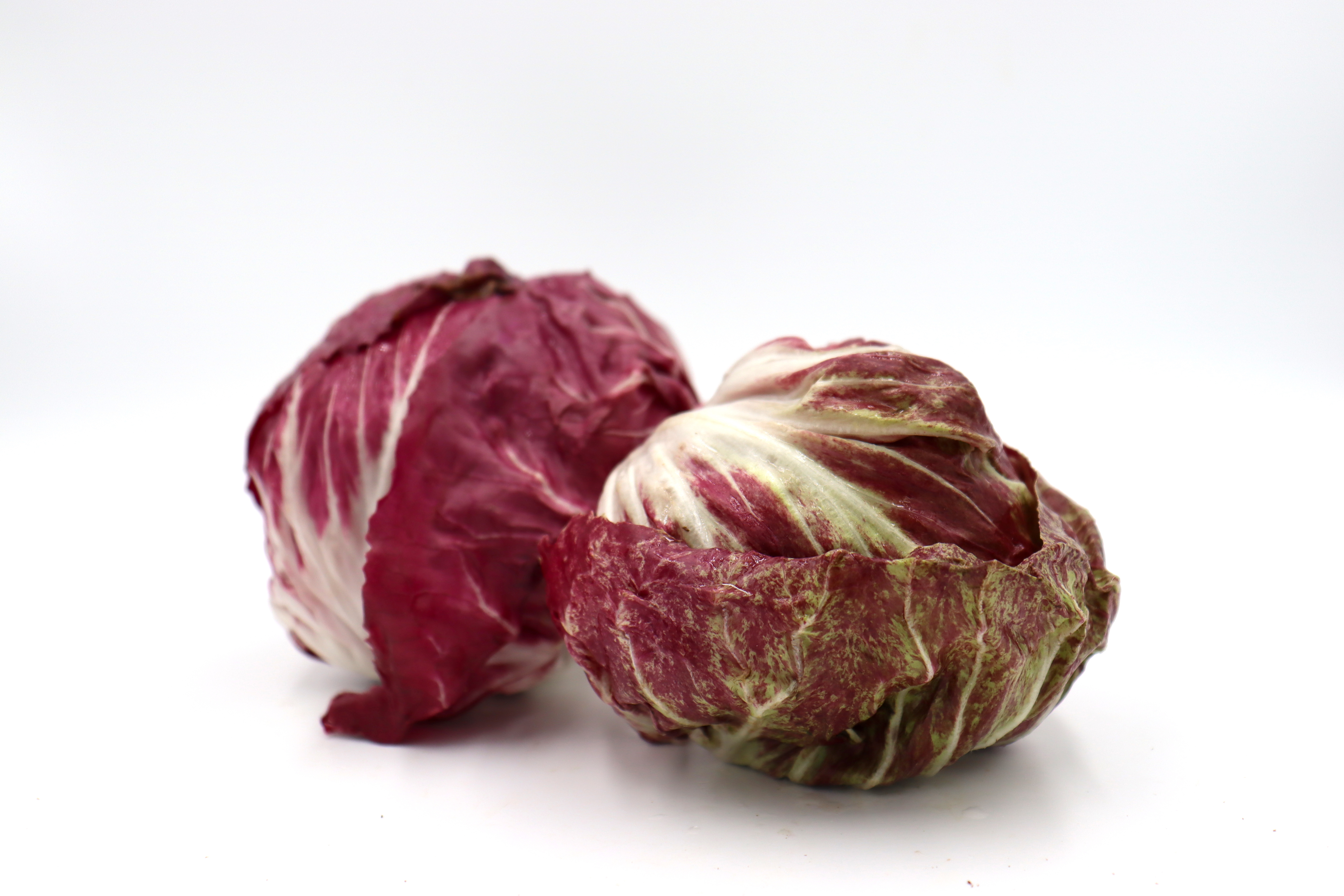 紅什/意大利菊苣