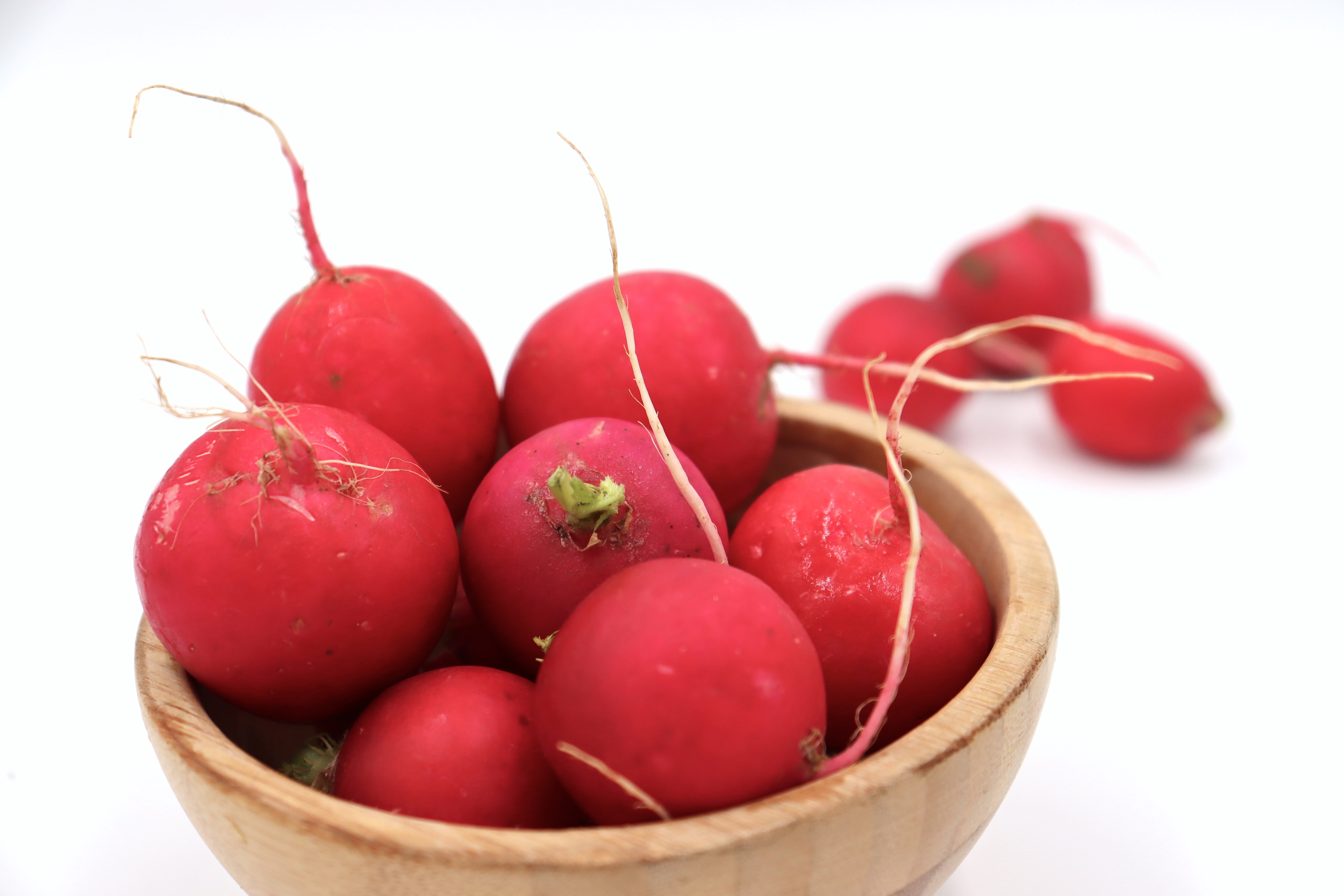 紅必仔/櫻桃蘿蔔