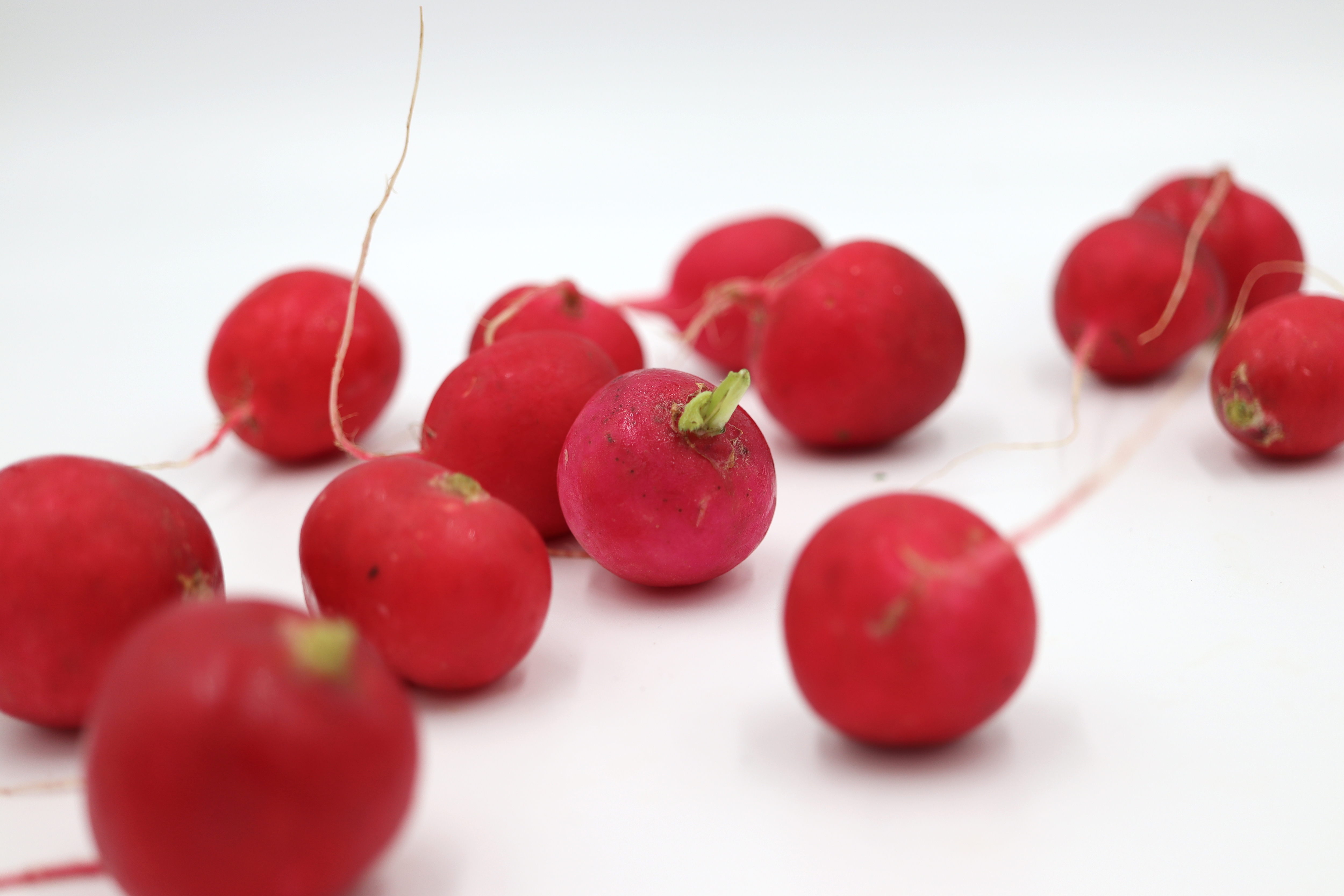 紅必仔/櫻桃蘿蔔