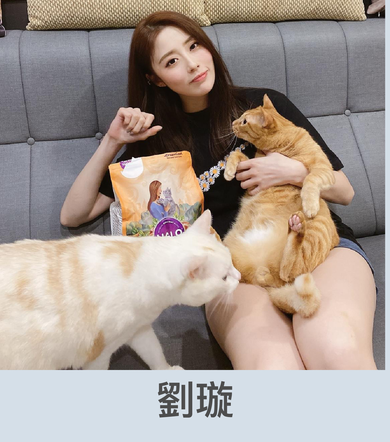 劉璇推薦貓飼料