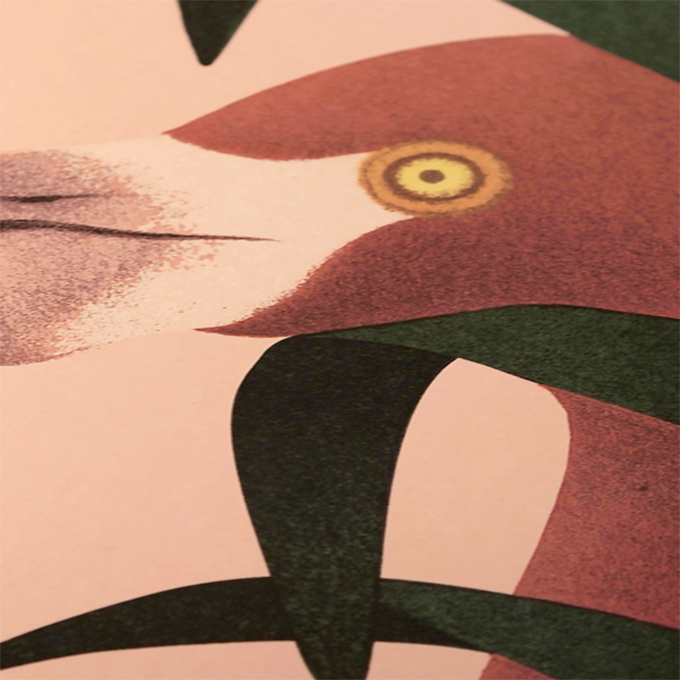 劉冰野〈火烈鳥 Flamingo III〉限量版畫