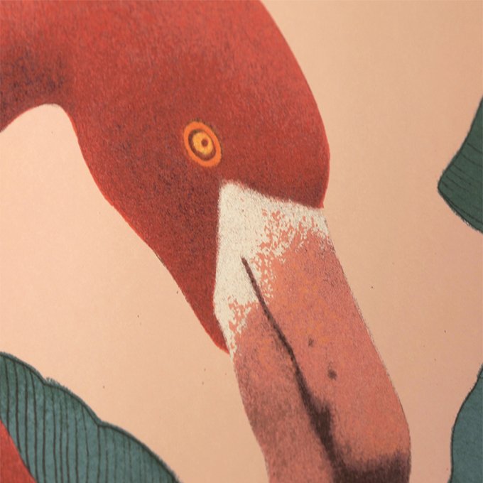 劉冰野〈火烈鳥 Flamingo II〉限量版畫