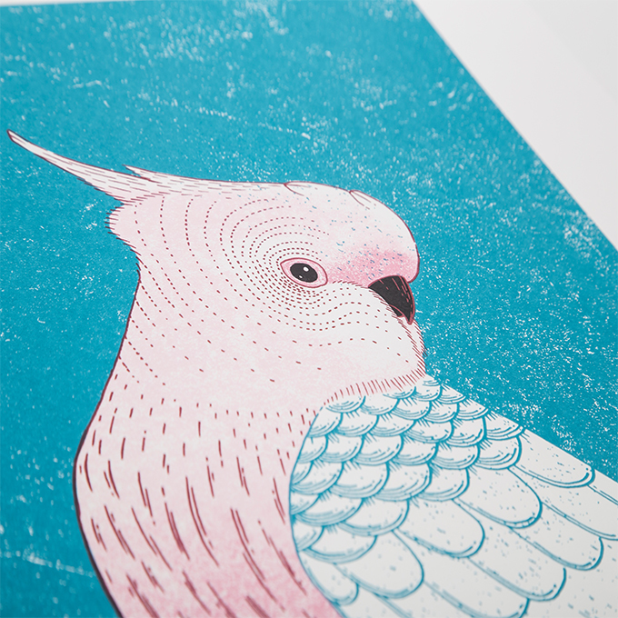 胡雲峰〈叢林鳥──粉鳳頭鸚鵡〉