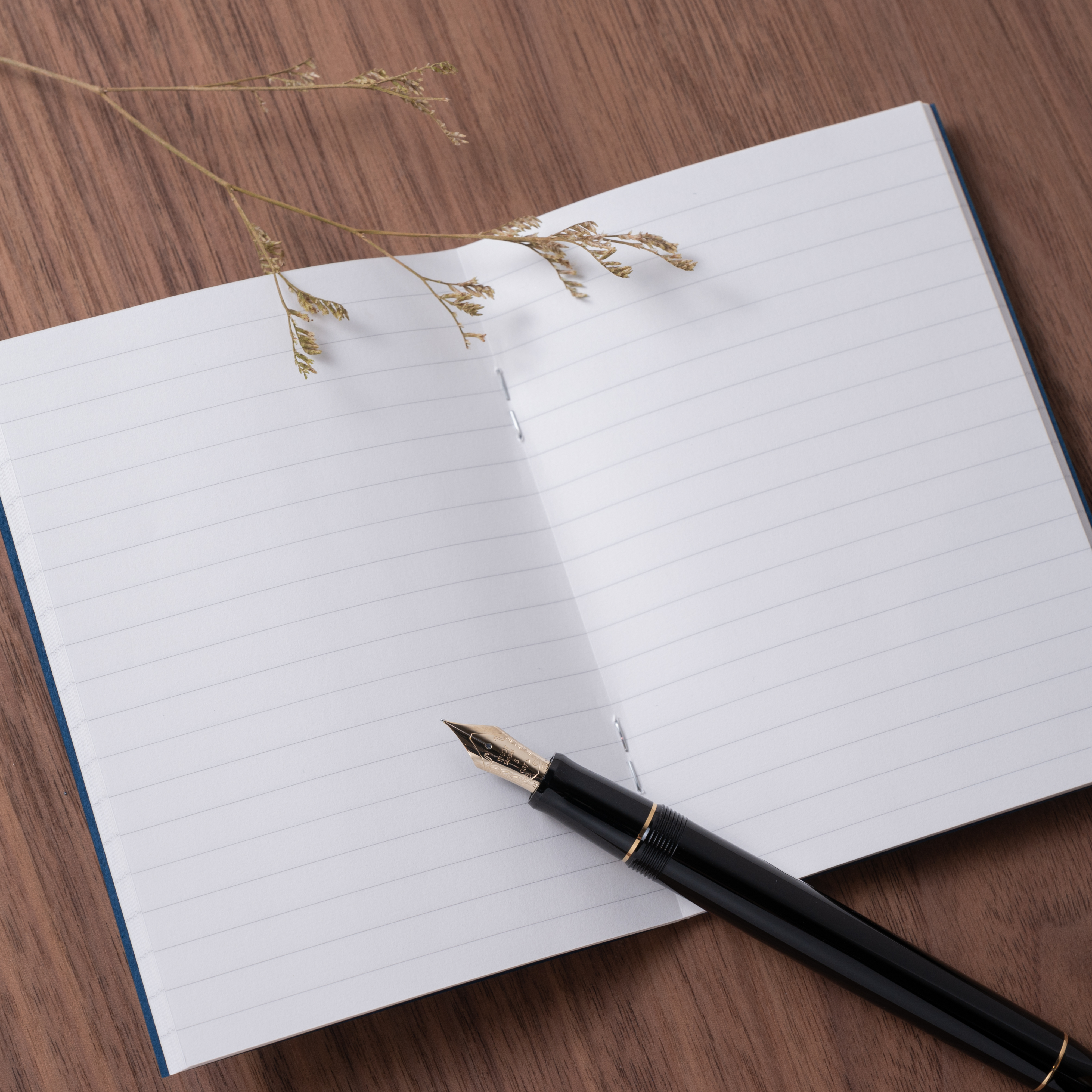 TRAVELER'S notebook (TN) | 001 橫線 護照尺寸