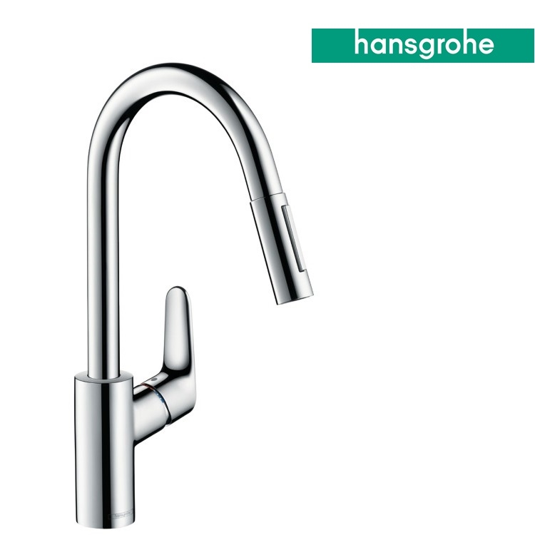 hansgrohe Focus 240 31815, -000 Single lever kitchen mixer 240 with pull-out spray - Wels