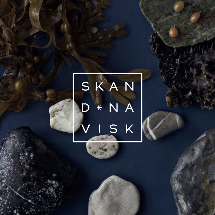 SKANDINAVISK HAV 海洋晨曦 香氛蠟燭(即期/過期)