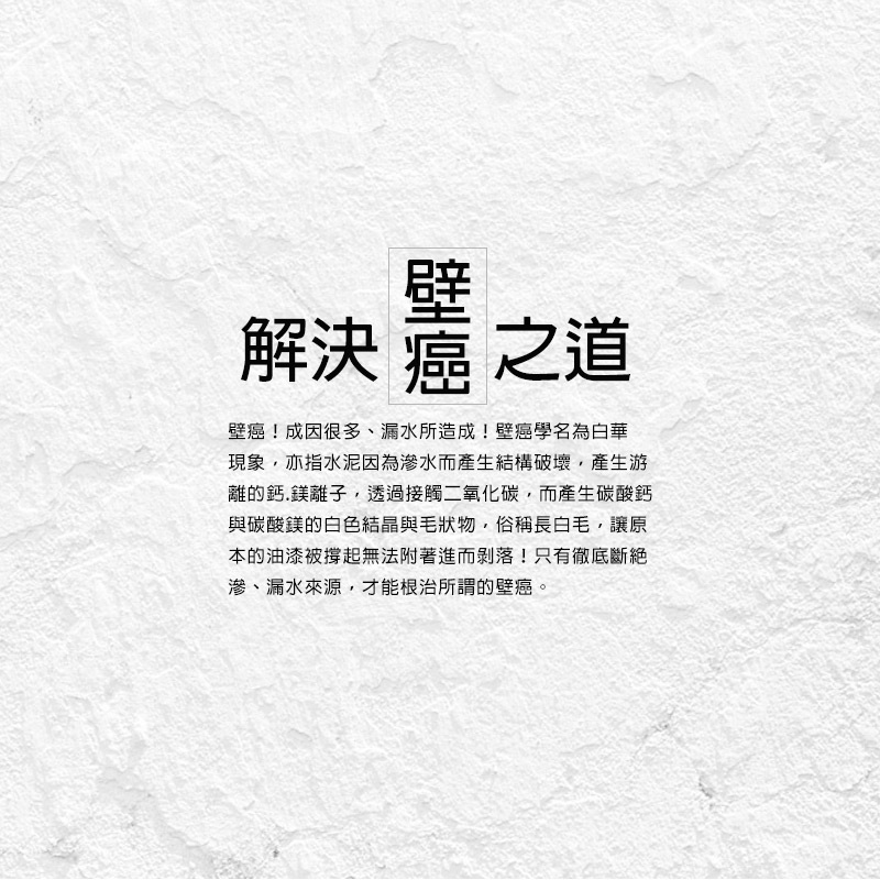 台灣製 SPRAY SEALER 「白色」壁癌醫生牆壁修補補牆防水噴霧 450ML│小修小補DIY│防潮、防霉、防漏～凹凸牆面輕鬆修復