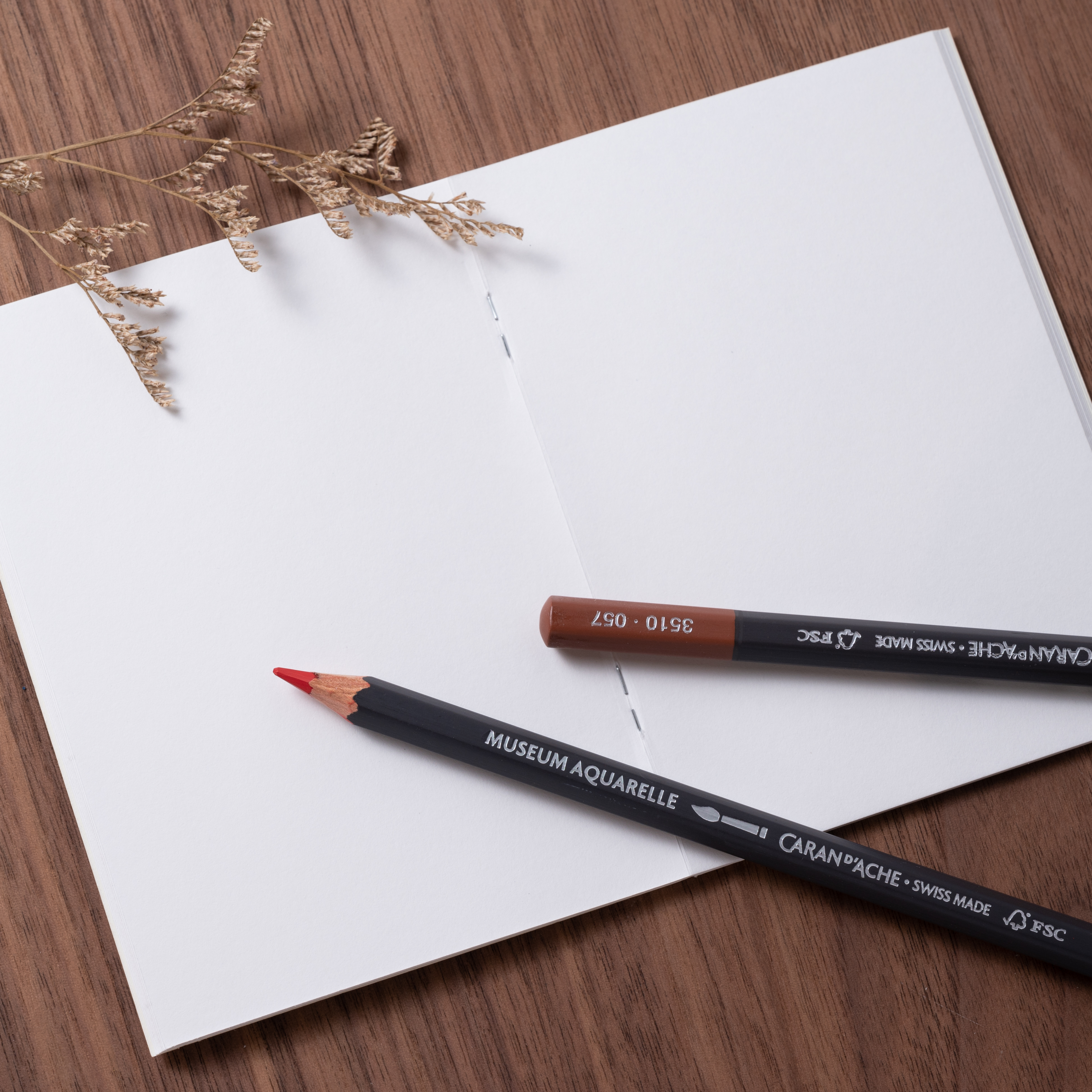 TRAVELER'S notebook (TN) |  008 圖畫紙 護照尺寸