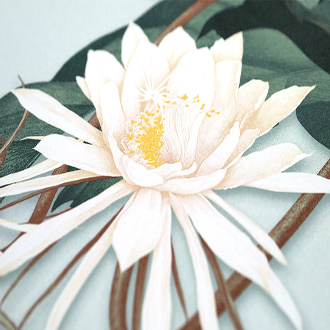藝外藝術〈Flower's Character 花的品格──曇花〉