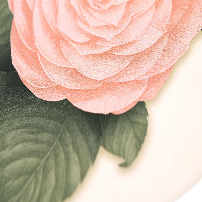 藝外藝術〈Flower's Character 花的品格──茶花〉
