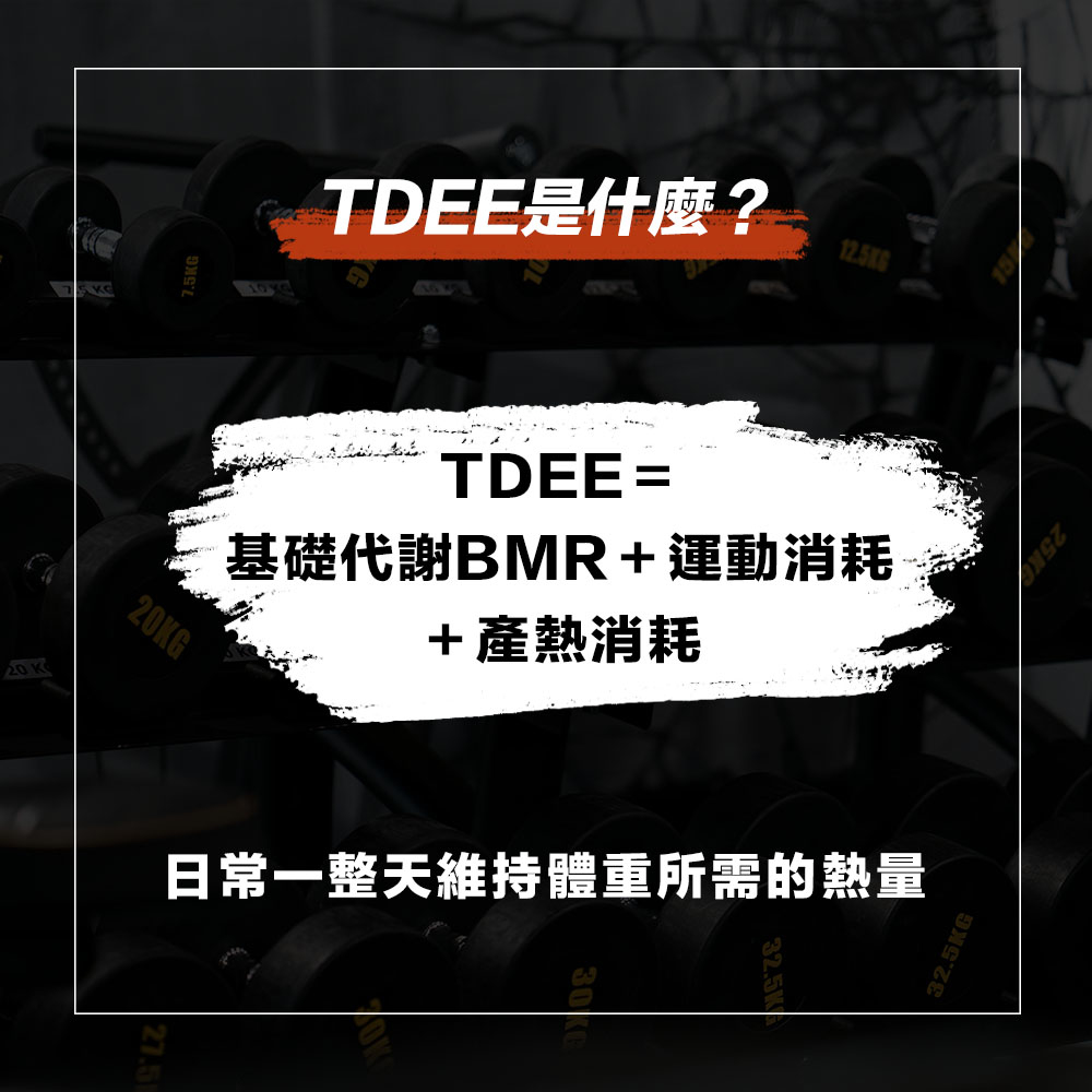 不只看基礎代謝BMR，TDEE運算公式也很重要，一天所需熱量速查！