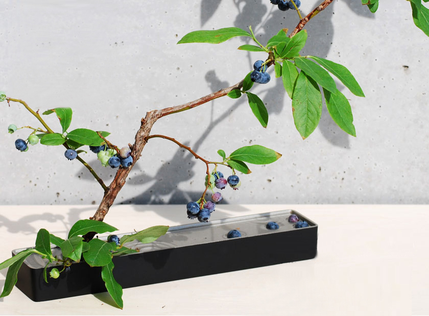 日本自由花花器