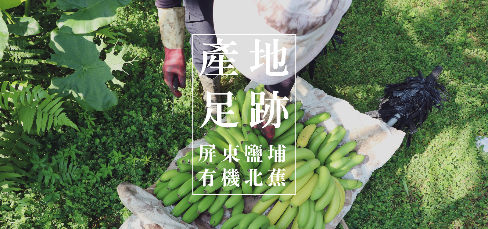 生活再苦，吃根香蕉一切都會好 產地足跡｜大哥的臉上掛滿了快樂與滿足