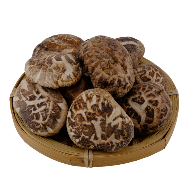 【海王牌】精選秋寒菇