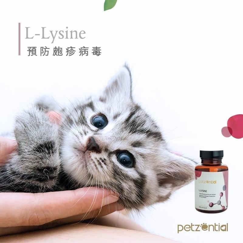 Petzential L-Lysine 離胺酸精華素 (90粒)