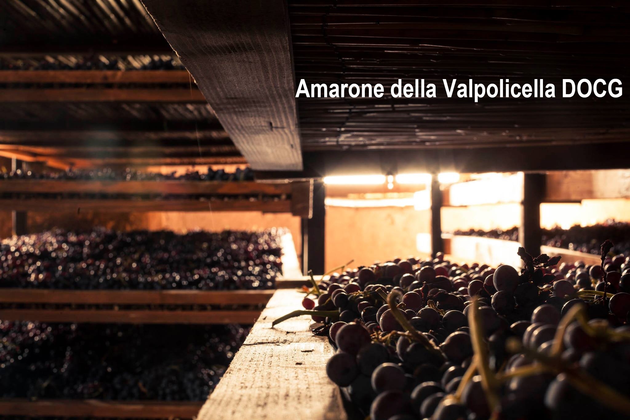 Amarone della Valpolicella DOCG, 阿瑪羅尼, 風乾葡萄, Veneto, Appassimento, 濃郁, 高酒精度, 瓦波利切拉