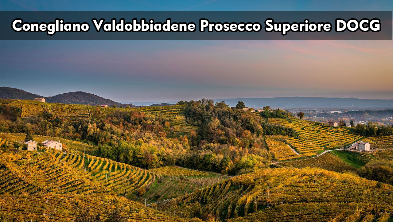 Conegliano Valdobbiadene Prosecco Superiore DOCG|科內利亞諾.瓦多比亞德內超級普洛賽克|wine couple 醇酒伴侶