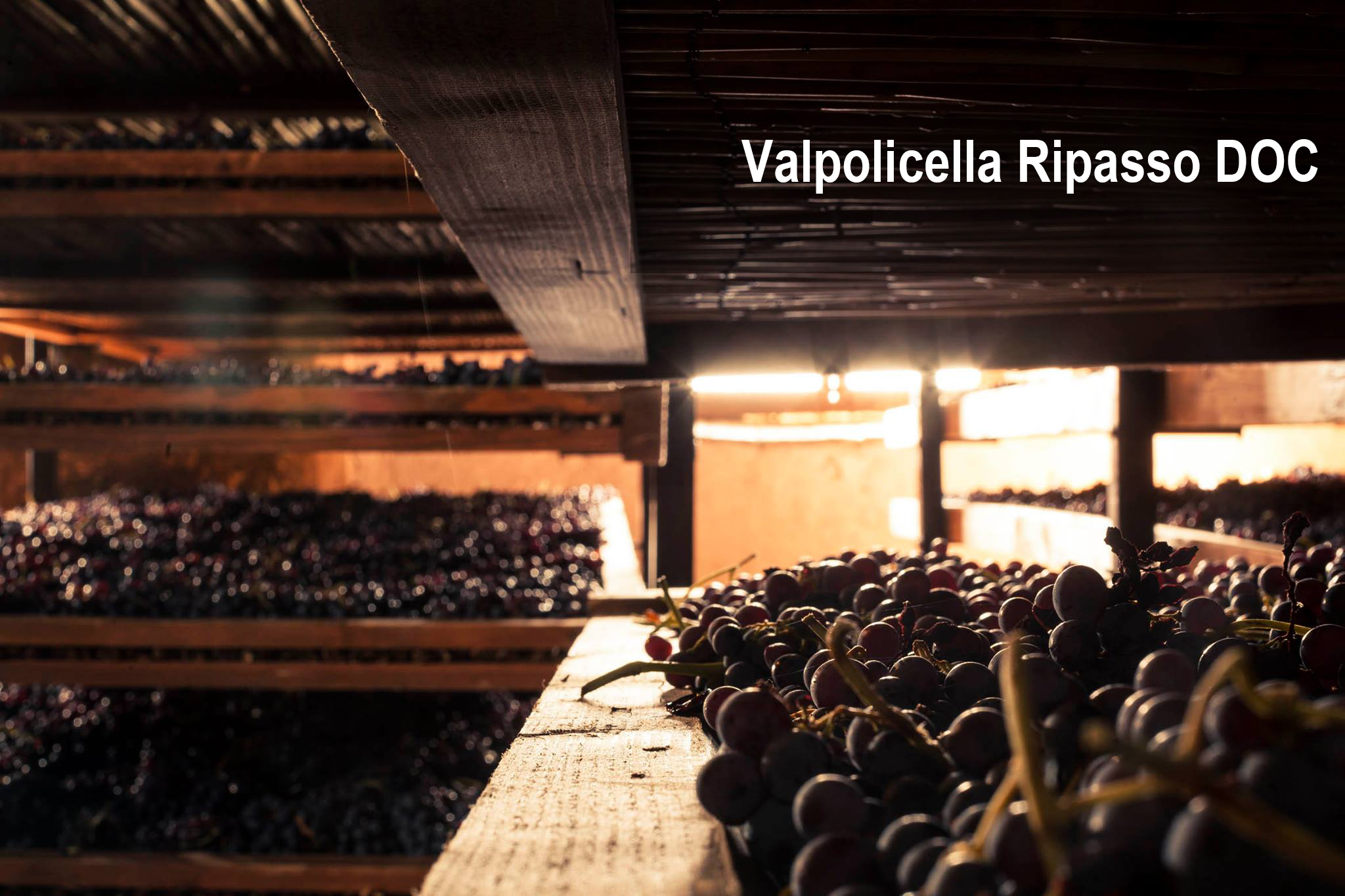 Valpolicella Ripasso DOC, 裏帕索, Veneto, Appassimento, 風乾葡萄, Passito, Recioto, 小阿瑪羅尼
