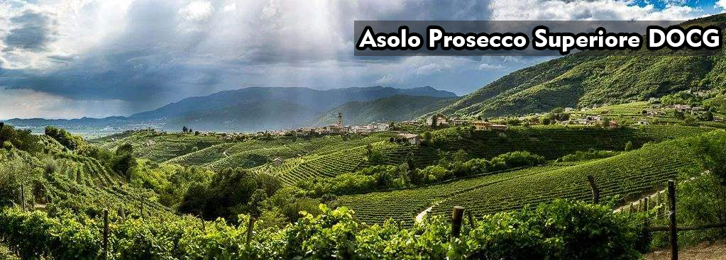 Asolo Prosecco Superiore DOCG|阿索羅超級普洛賽克法定產區|wine couple 醇酒伴侶