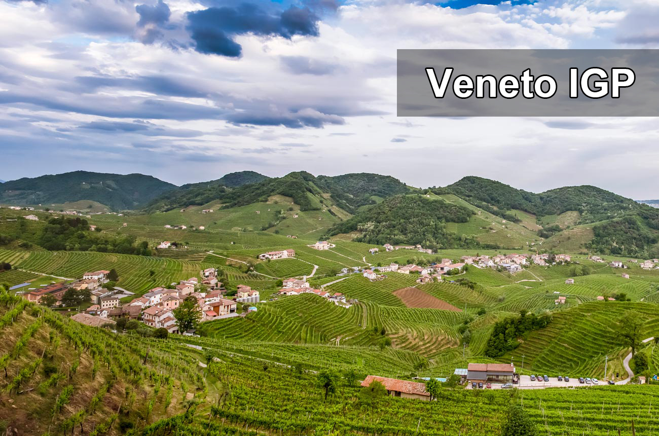 Veneto IGP, 威尼托, 瓦波利切拉Valpolicella, 索阿維Soave, 巴多力諾Bardolino, Recioto di Soave, 甜酒, 起泡酒, Prosecco