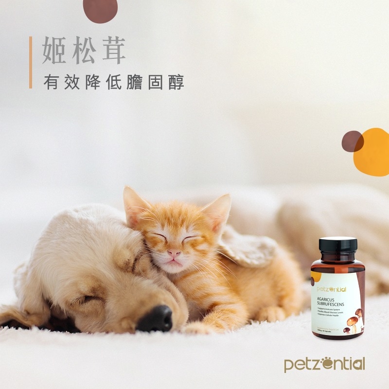 Petzential 姬松茸精華素 90粒 (貓狗適用)
