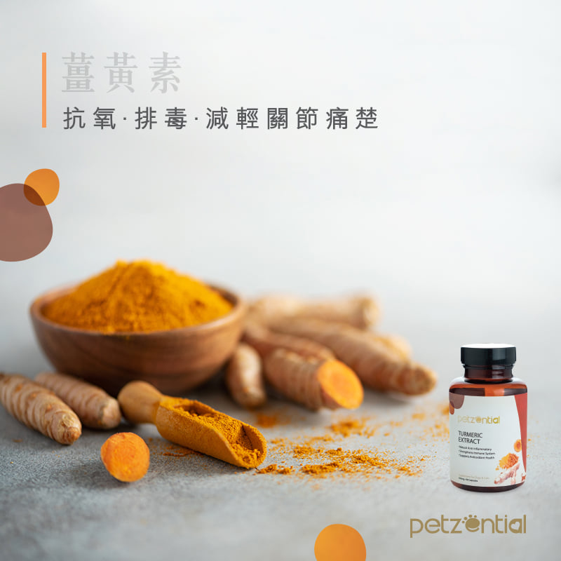 Petzential 薑黃精華素 90粒 (貓狗適用)