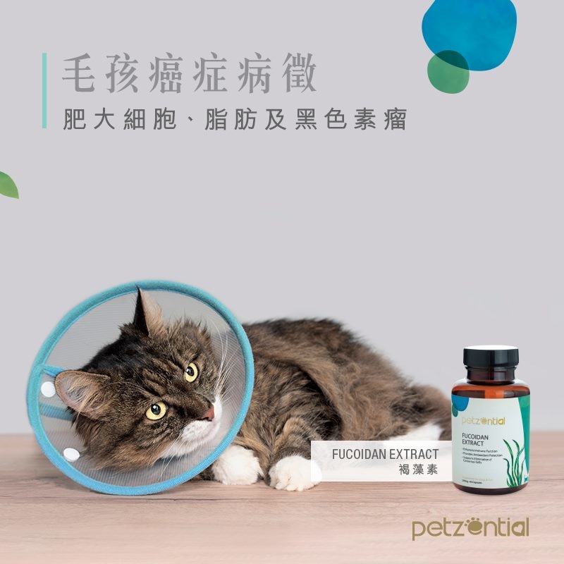 Petzential 褐藻精華素 90粒 (貓狗適用)