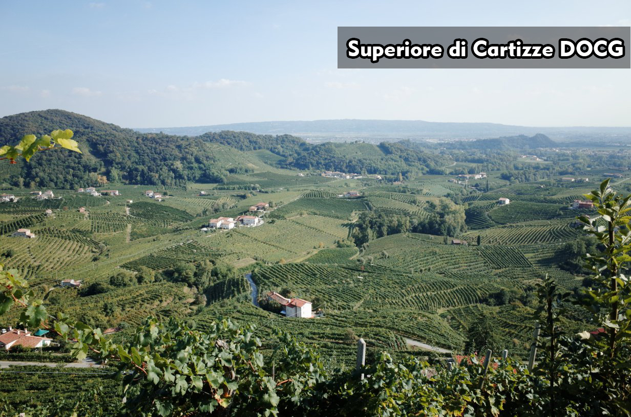 Superiore di Cartizze DOCG|超級卡迪茲法定產區|Valdobbiadene|Glera|Wine Couple 醇酒伴侶