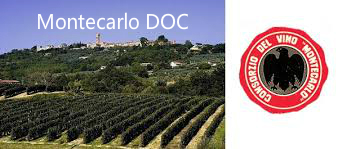 montecarlo-doc