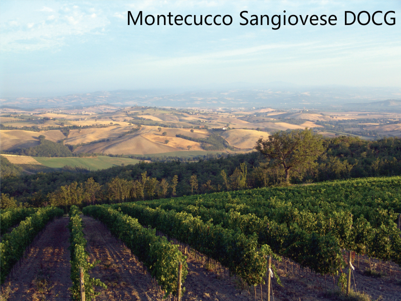 Montecucco Sangiovese DOCG