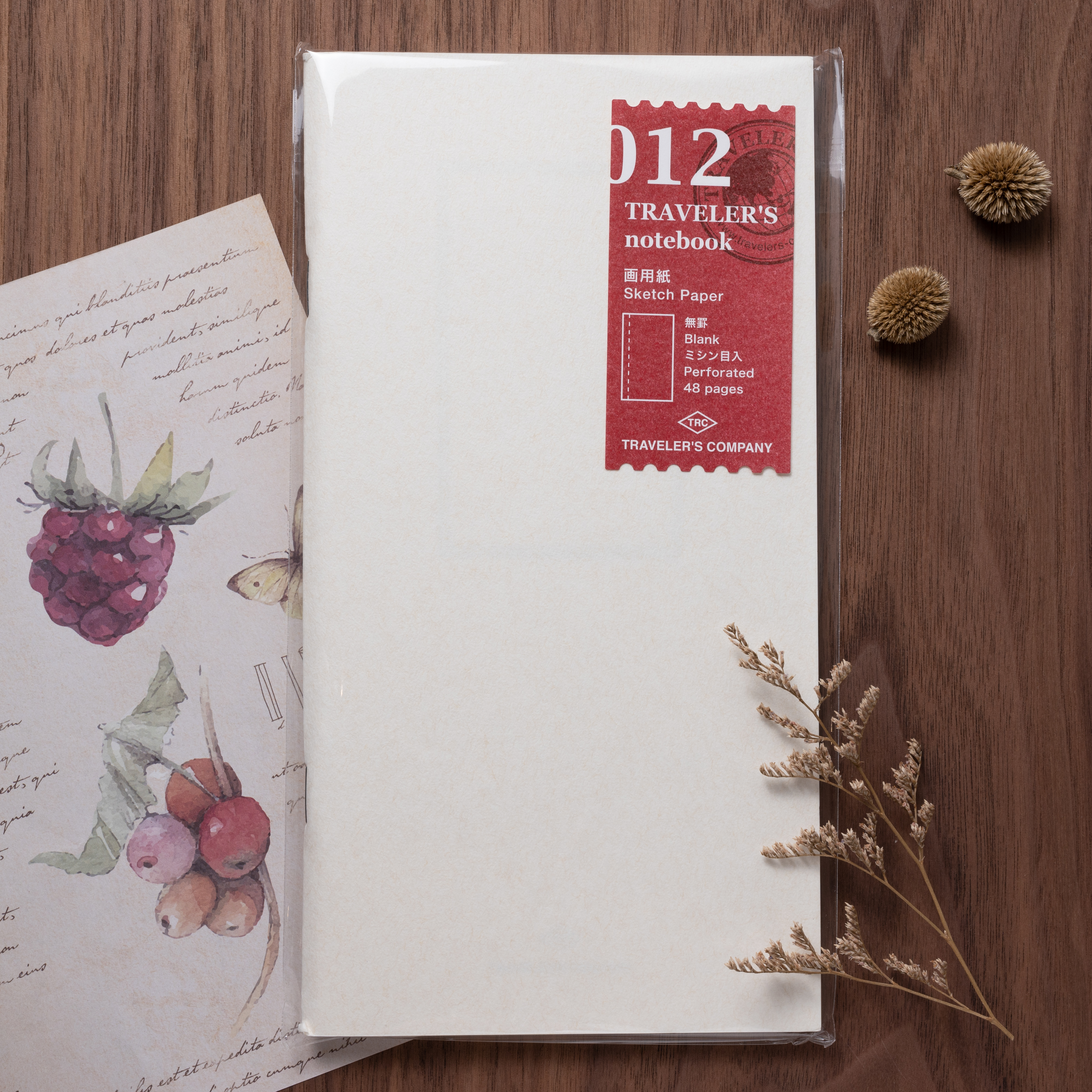 TRAVELER'S notebook (TN) | 012 圖畫紙 素描本