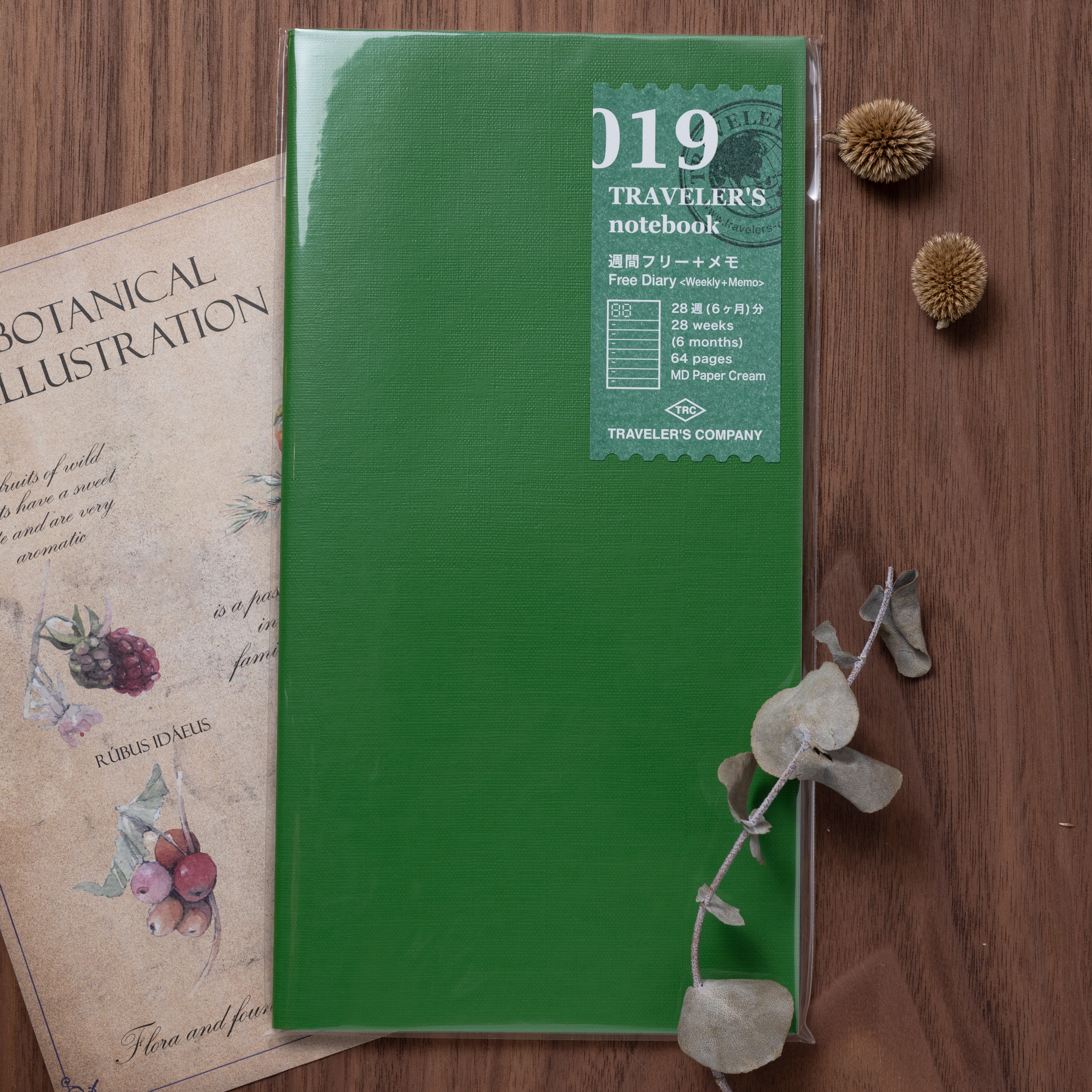 TRAVELER'S notebook (TN) | 019 週間+方格