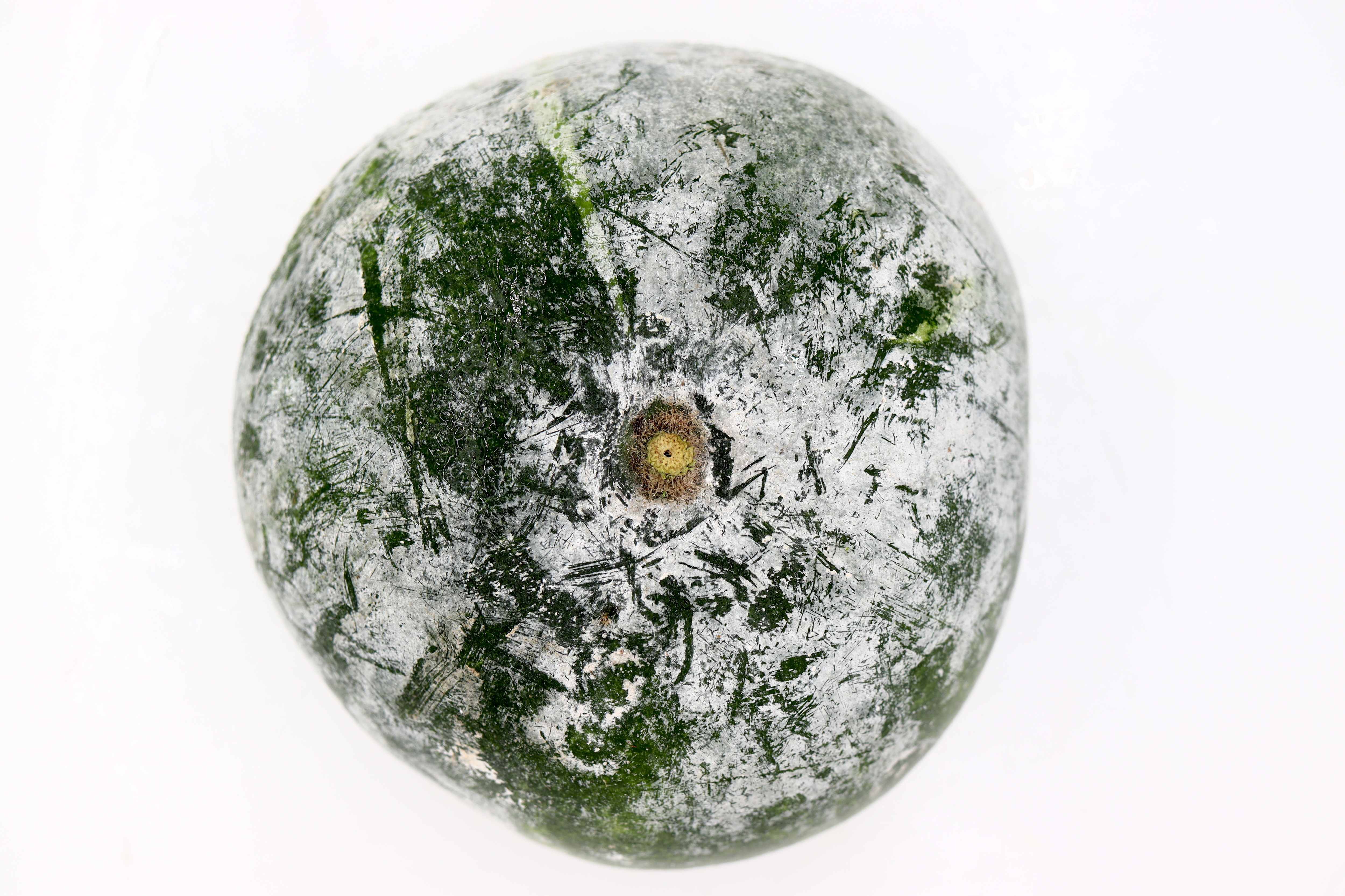 灰冬瓜 (約 1.8-2.4KG)