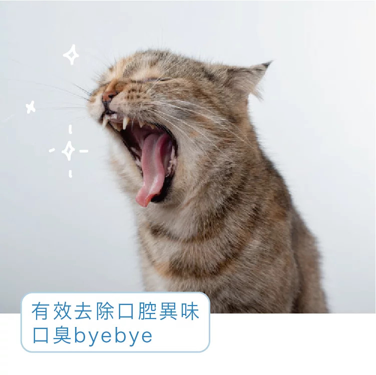 台灣 T-FENCE 日本柿單寧潔牙水 280ml│潔牙x保健│口臭剋星x貓狗適用│毛孩刷牙不煩惱