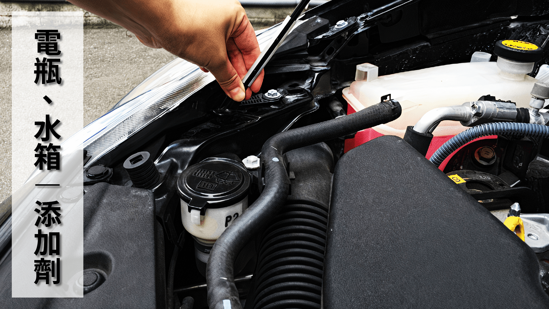 SOFT99,速特99,台吉化工,G'zox,gzox,水箱,柴油,機油,電瓶,煞車油,添加劑,保養,引擎室