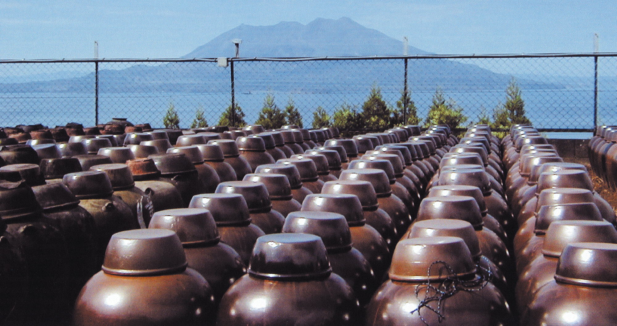 天然糙米，配以天然酢酸菌，經時間分解、發酵，醞釀而成之天然釀造醋，含多種人體無法合成而又必須的氨基酸、維生素、礦物質、有機酸、醋酸菌等營養成分；其氨基酸比一般醋多出 10 - 20 倍，口感清香醇樸、柔和溫順、入喉回甘，具有優秀的生理活性效果。