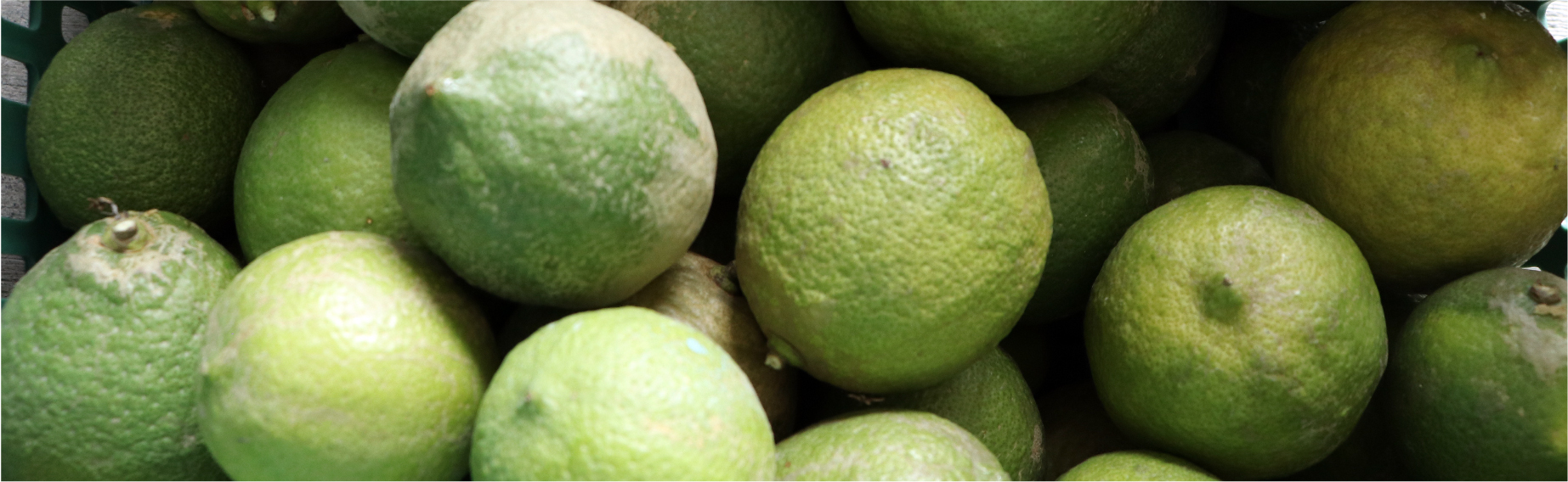 如果你也希望最後進入自己與家人口中的水果、果乾，是無添加防腐劑且滿載著大地孕育的養份的話，邀請你持續關注果嶼與小農的故事。