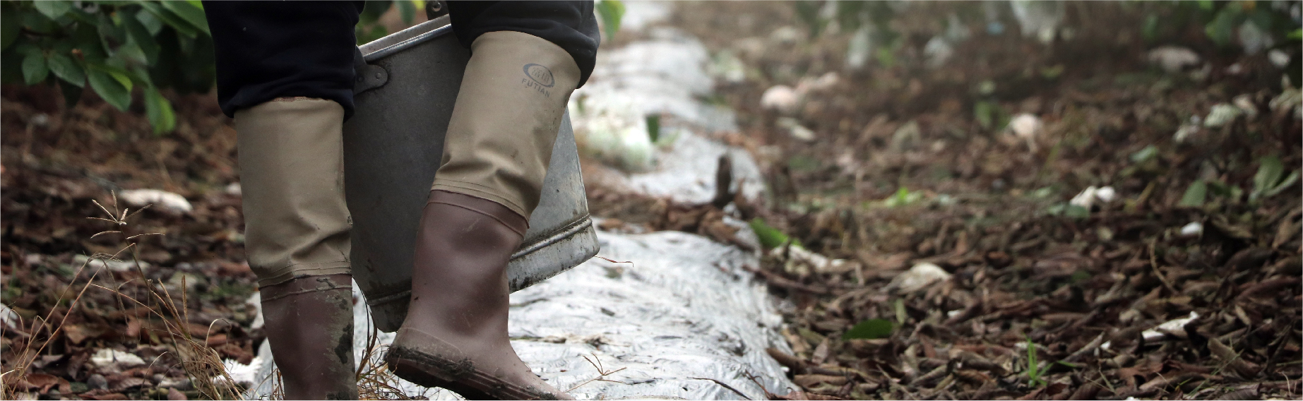 鄉根報05　高雄美濃│豐年農產