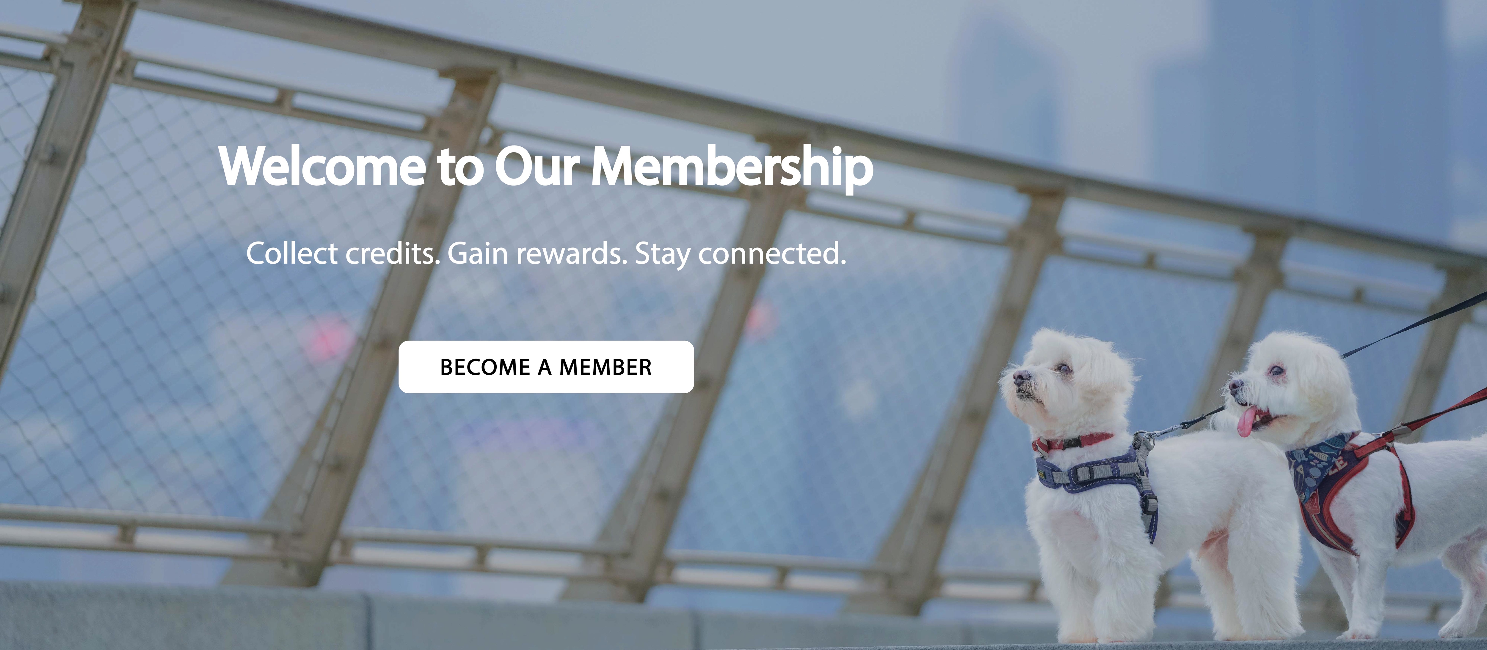 會員登記, Member sign up, healthy little paws members, member rewards, hong kong pet food, fresh pet food