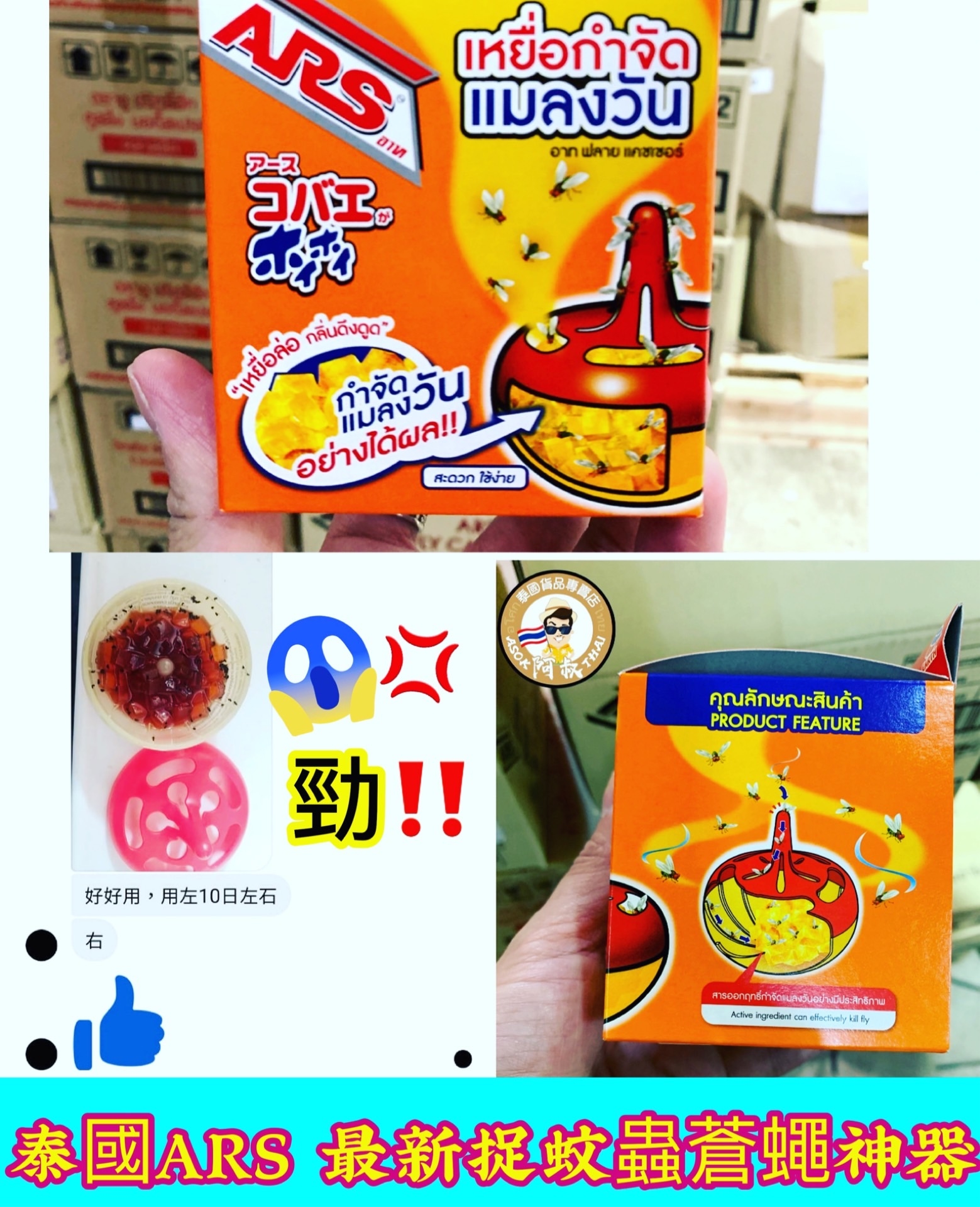 泰國ARS果蠅誘捕啫喱神器🦟🌟  (泰叔至抵價!!$100/3個)
