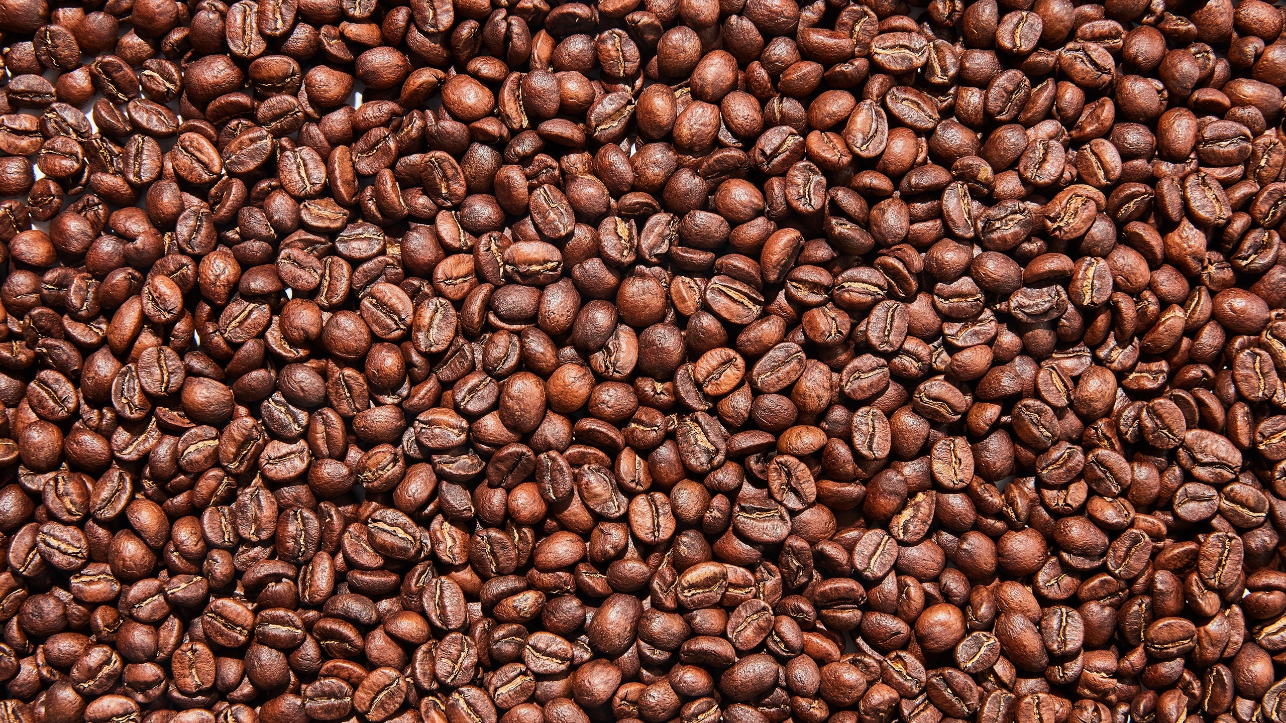 02 ESPRESSO (巴西+埃塞+哥倫比亞)