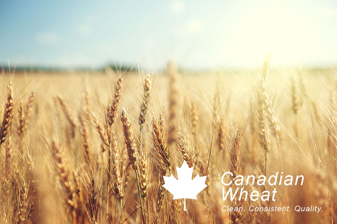 localoca 減醣減卡豆渣輕烘焙，採用頂級加拿大一級西部紅春麥(CWRS)研磨而成​麵粉。