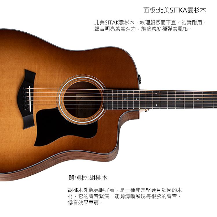 Taylor 110ce-SB 電木吉他