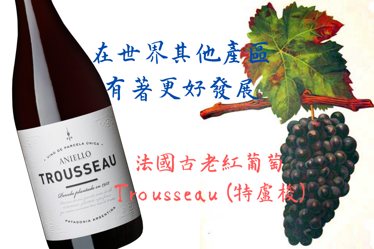 Trousseau 特盧梭