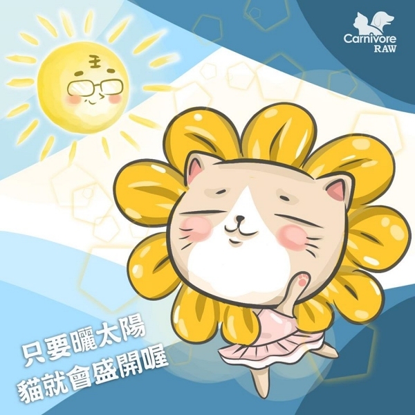 貓曬太陽,維生素D