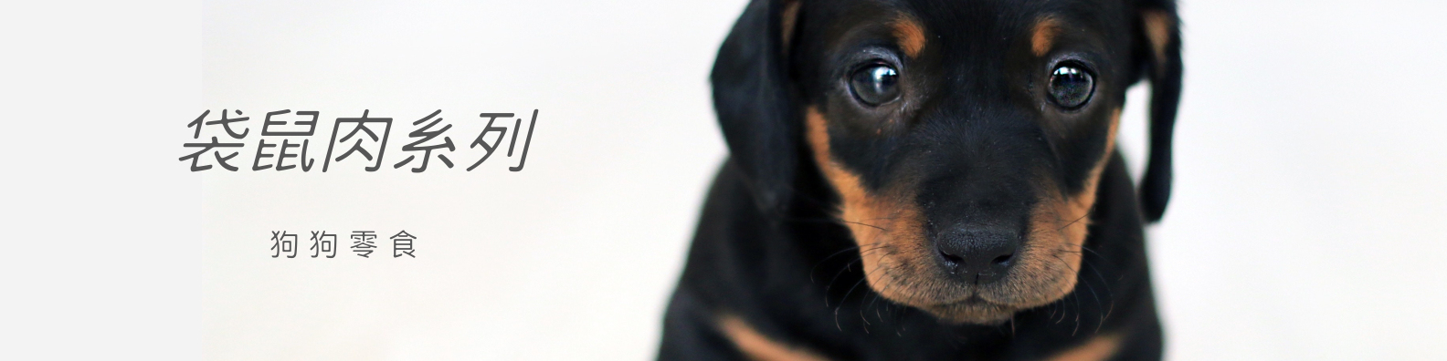 petwoof 狗零食 推薦 天然 袋鼠