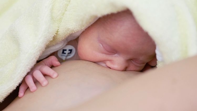 新生兒母乳餵養